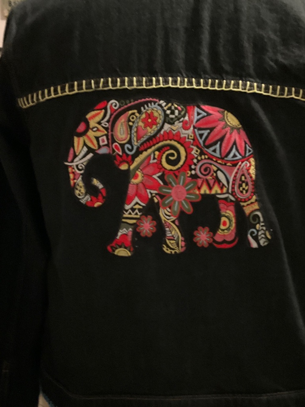 Hand Embroidered & Appliquéd Wild Fable Jean Jacket